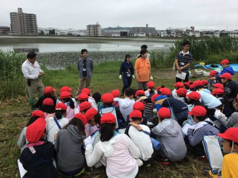 大久保南小学校ため池学習