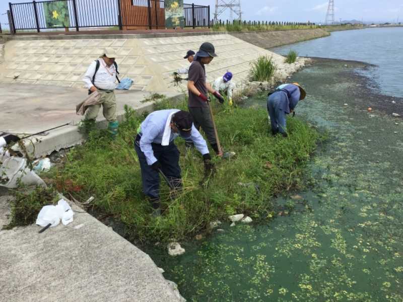 ナガエツルノゲイトウ駆除作業７月