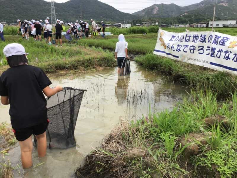 阿弥陀水田ビオトープ　田んぼの管理や生き物観察体験