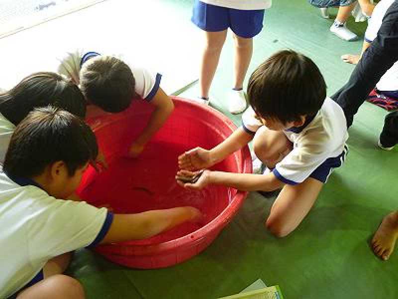神野小学校環境体験学習
