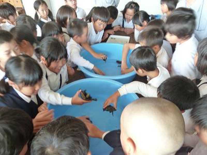 天満東小学校環境学習