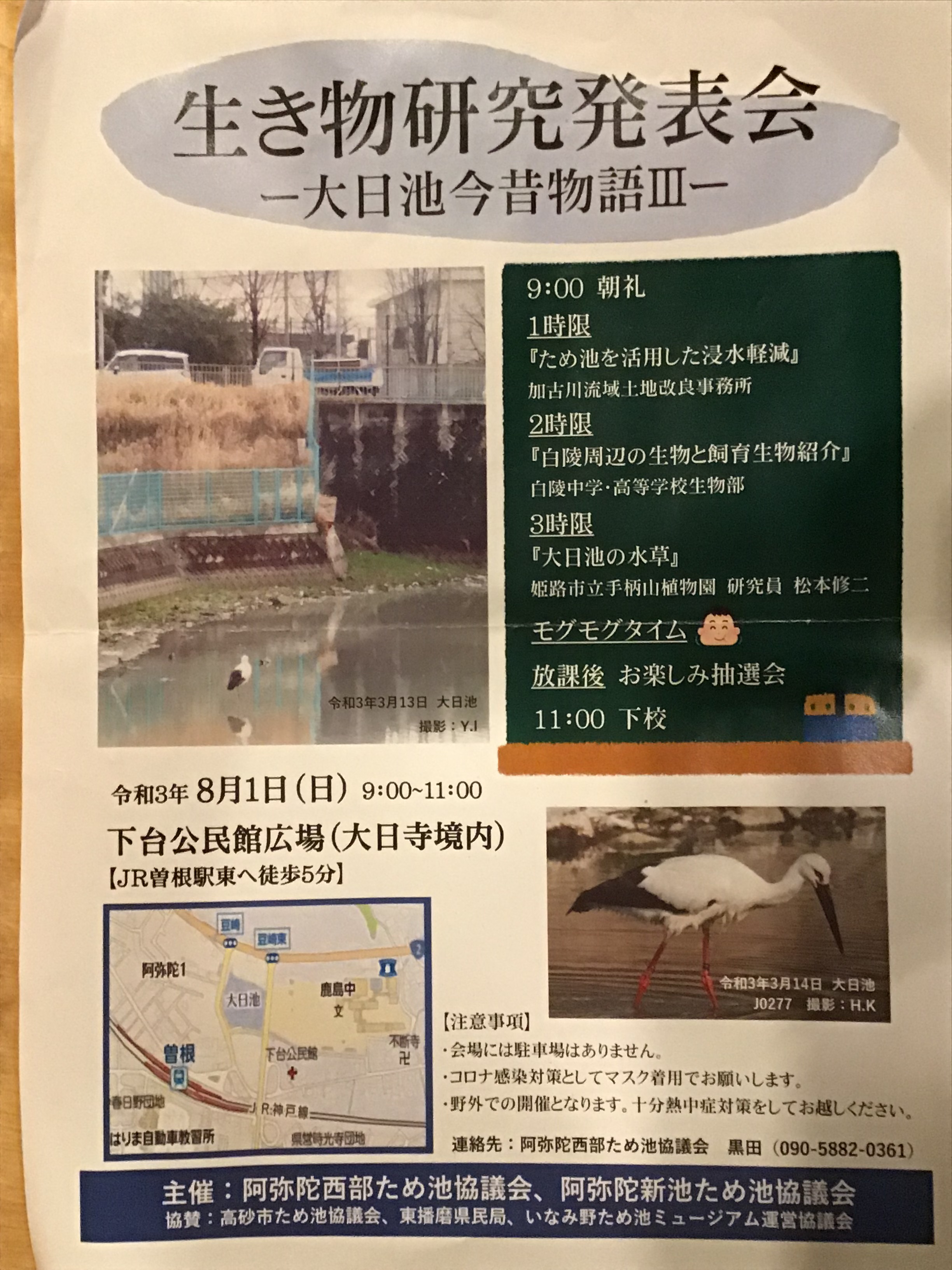 大変だ 大きなトカゲが女生徒に 生き物研究発表会 大日池今昔物語 いなみ野ため池ミュージアム