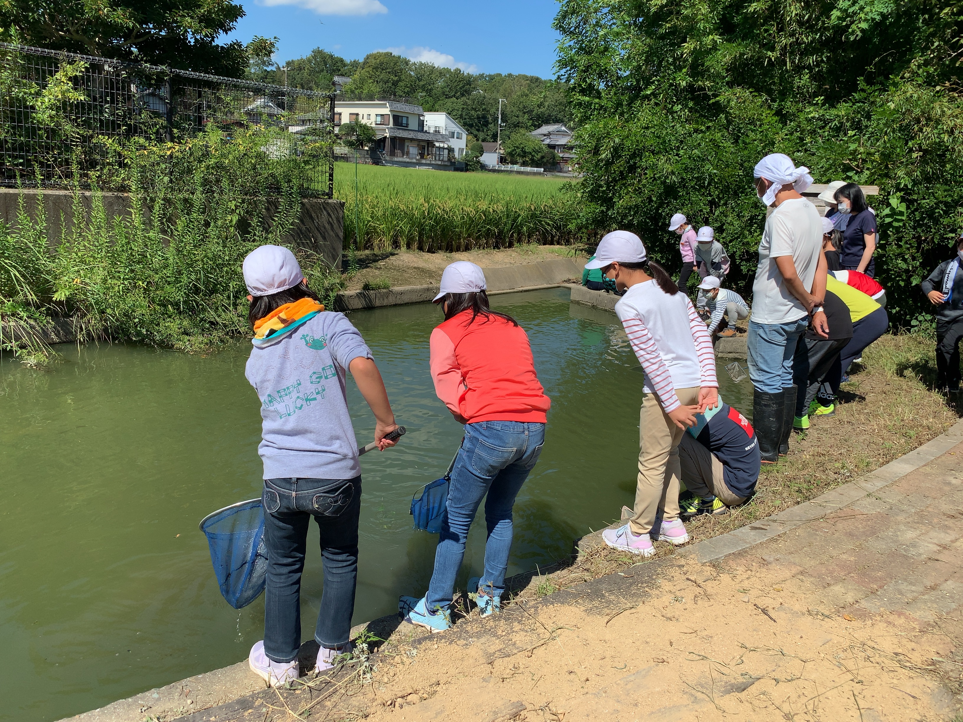 子どもたちが自ら体験して学ぶ曇川ビオトープ公園　神野小学校(３年生)環境体験活動