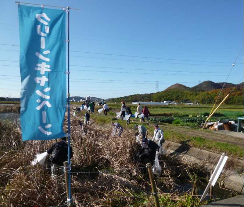 カモメ池クリーンキャンペーンとヨシ刈り