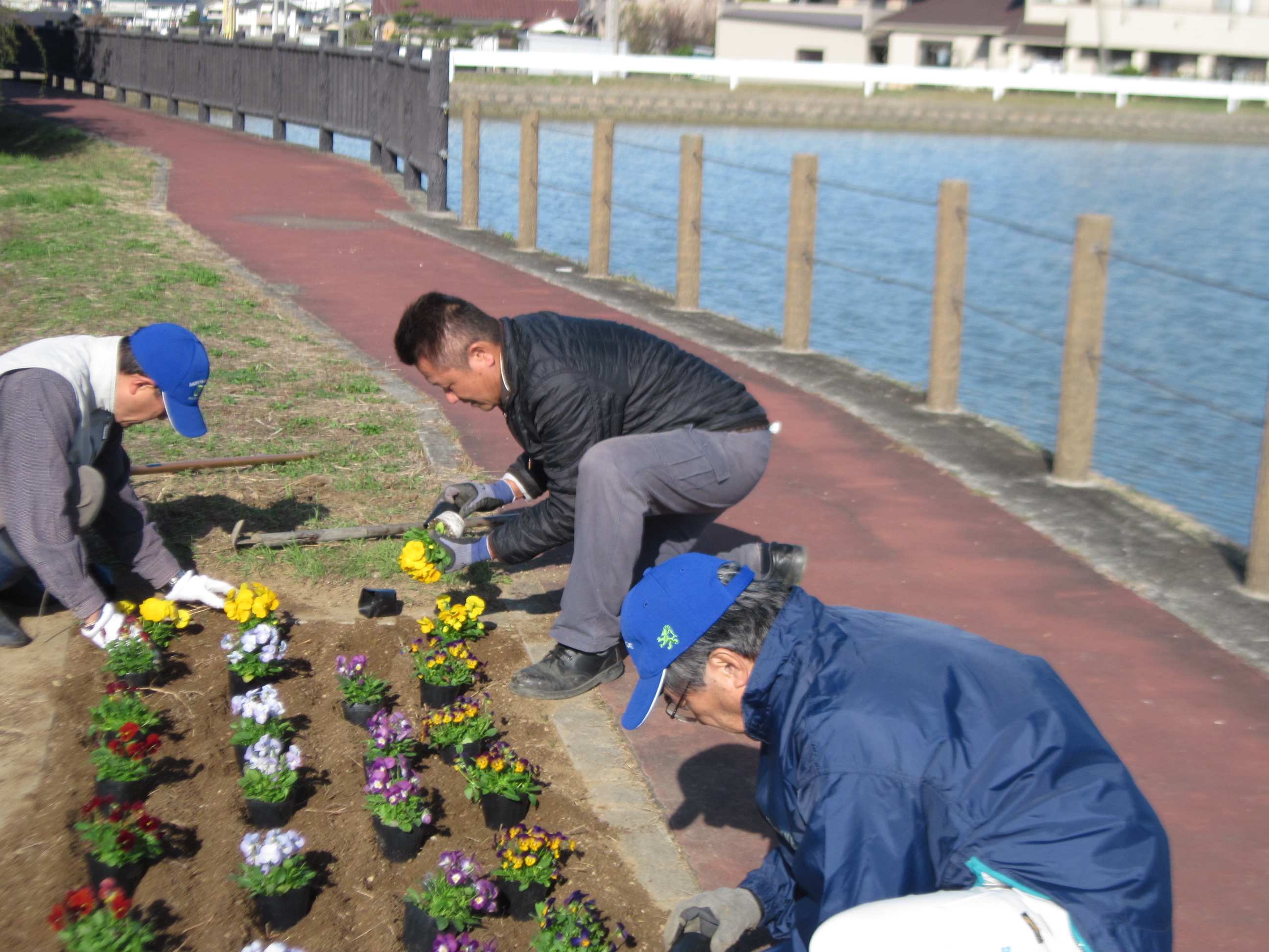 梶ヶ池植栽活動