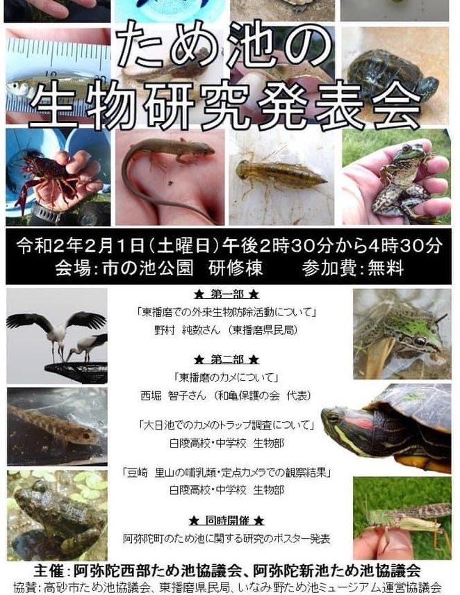 ため池の生物研究発表会が開催されました