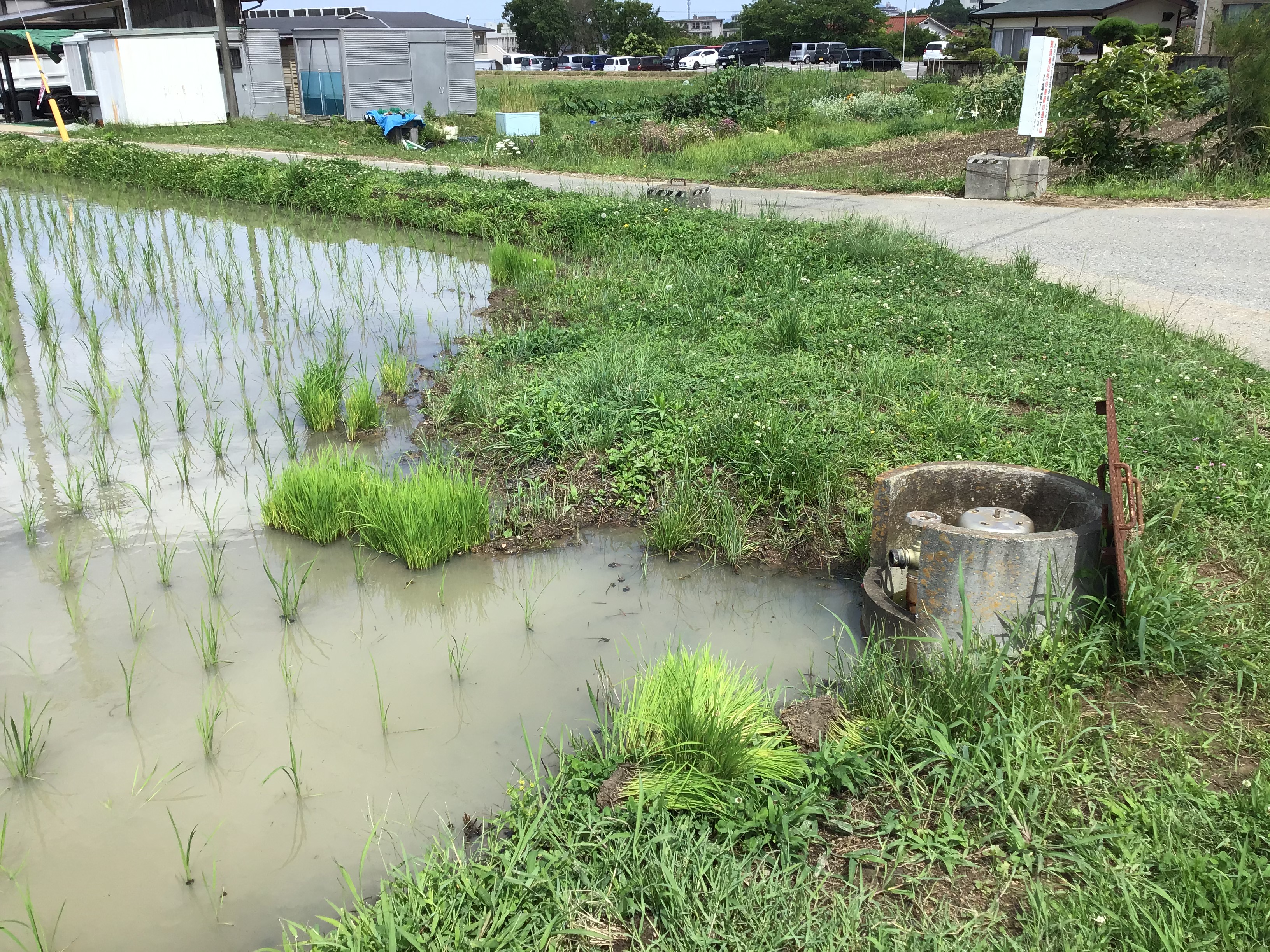 道中の田んぼにあるパイプラインの水口。バルブを捻れば水加減が出来る。北播磨県民局と地元のパイプの賜物です。便利。