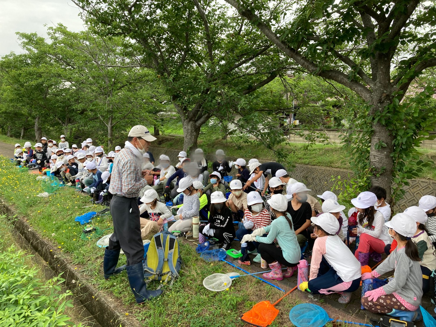 つかまえた❢ 『くもりがわの生き物探検』天満小学校(３年生)環境学習