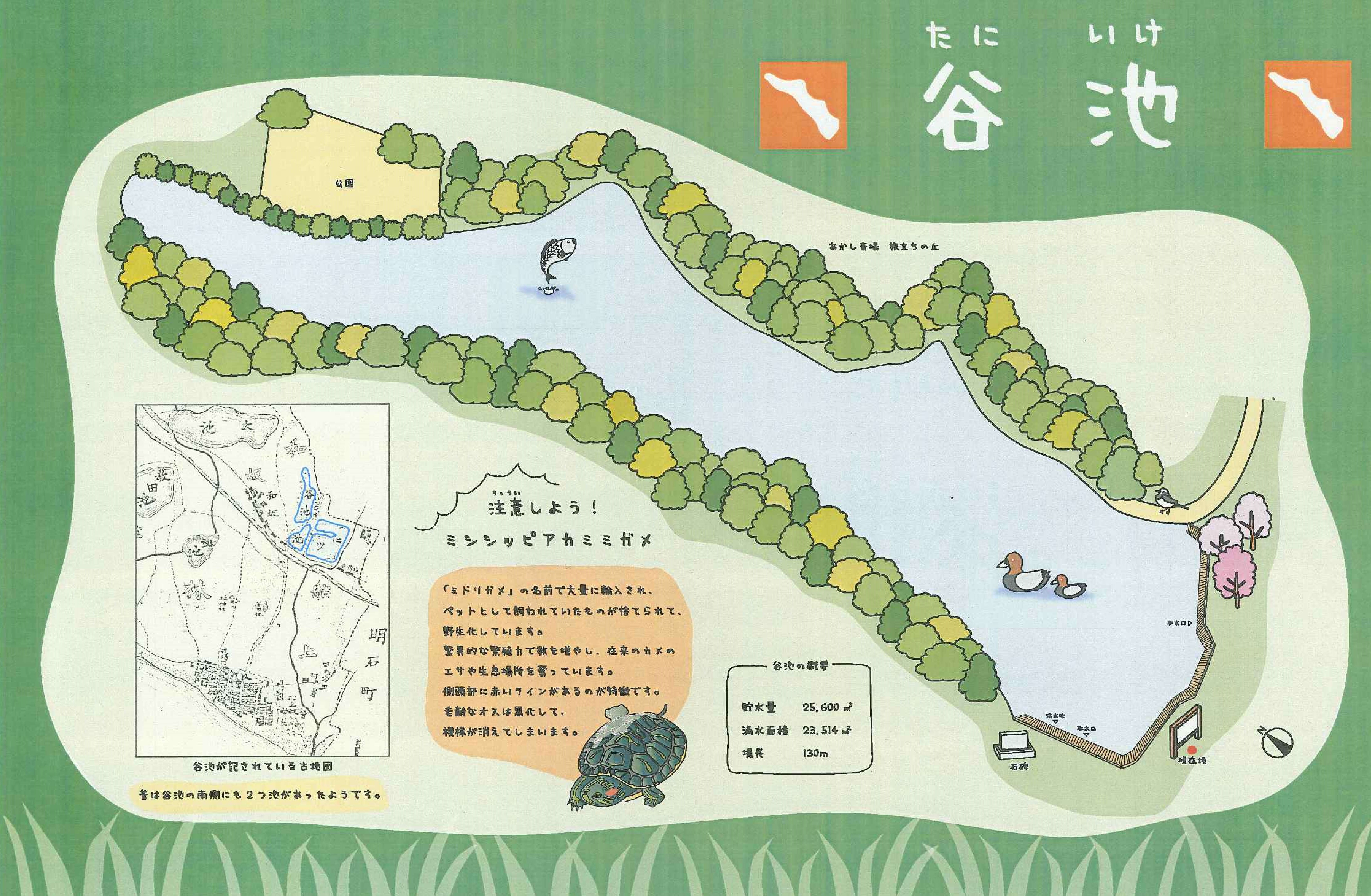 谷池（たにいけ）