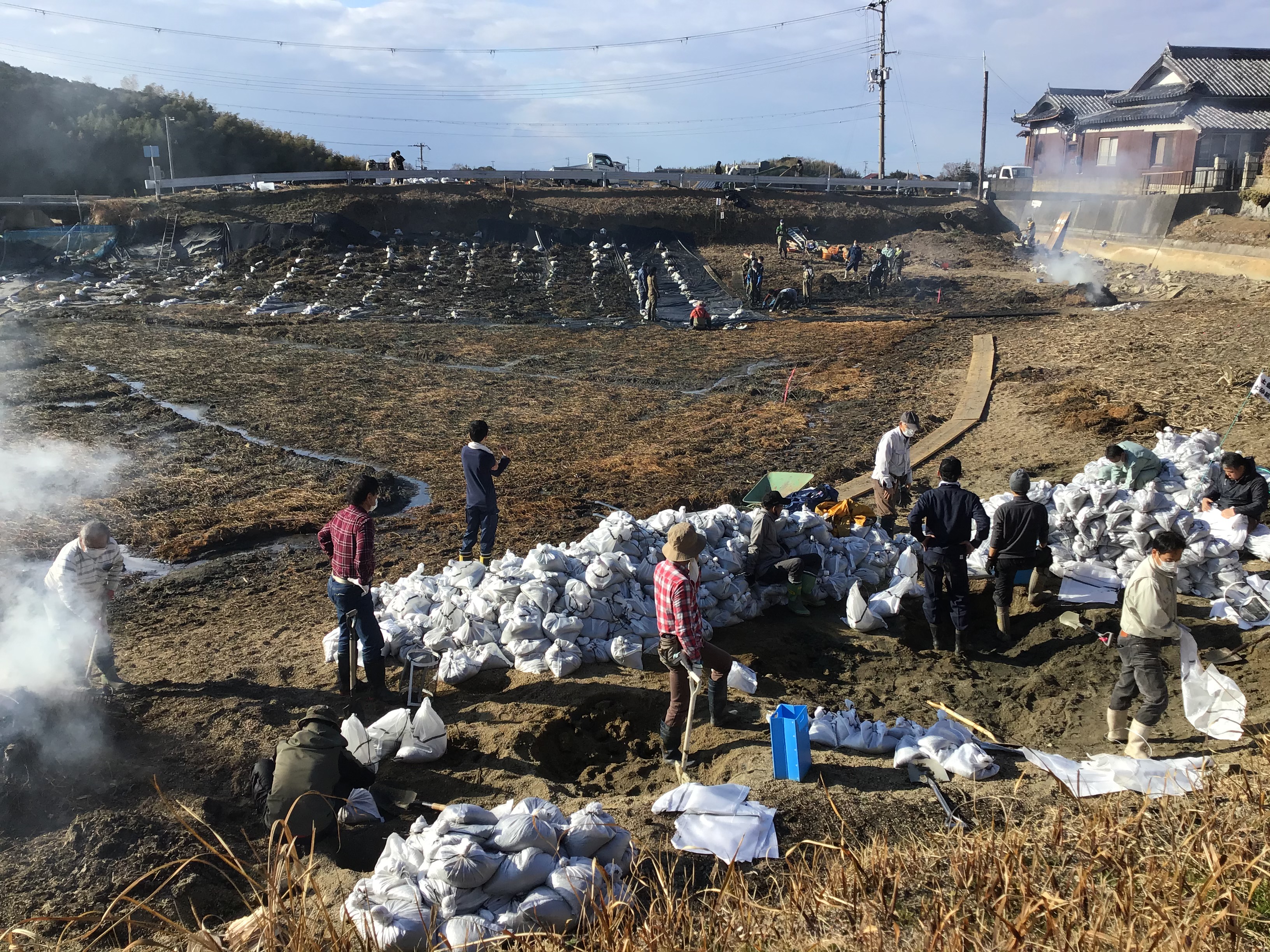 本田池(洲本市)でナゲエツルノゲイトウ駆除活動。住民の力だけでは限界❢シートで遮光より腐らせる❢