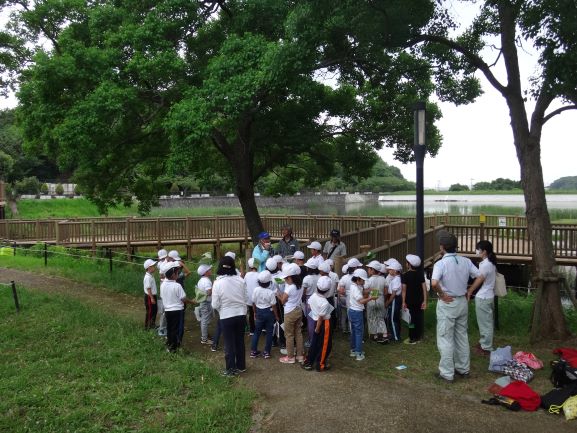 高砂市立阿弥陀小学校ため池学習（場所：市ノ池公園）