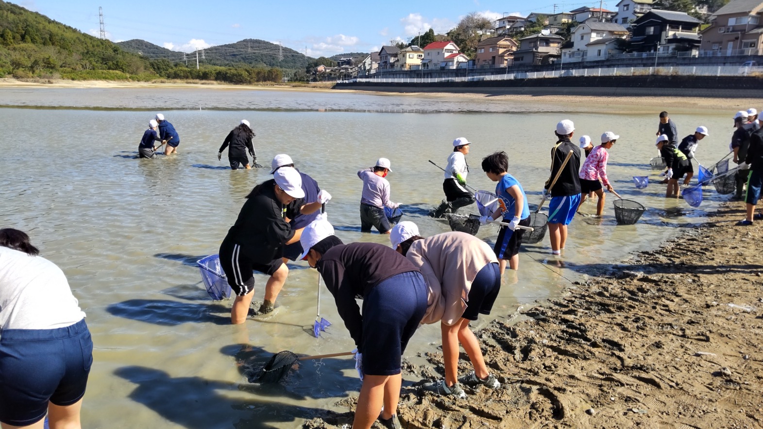 ❝ため池に入る。泥に入る。足をとられる。生き物を触る体験❞　加古川市立上荘小学校　下池じゃことり体験：「ため池」ふるさと教育プログラムモデル支援事業