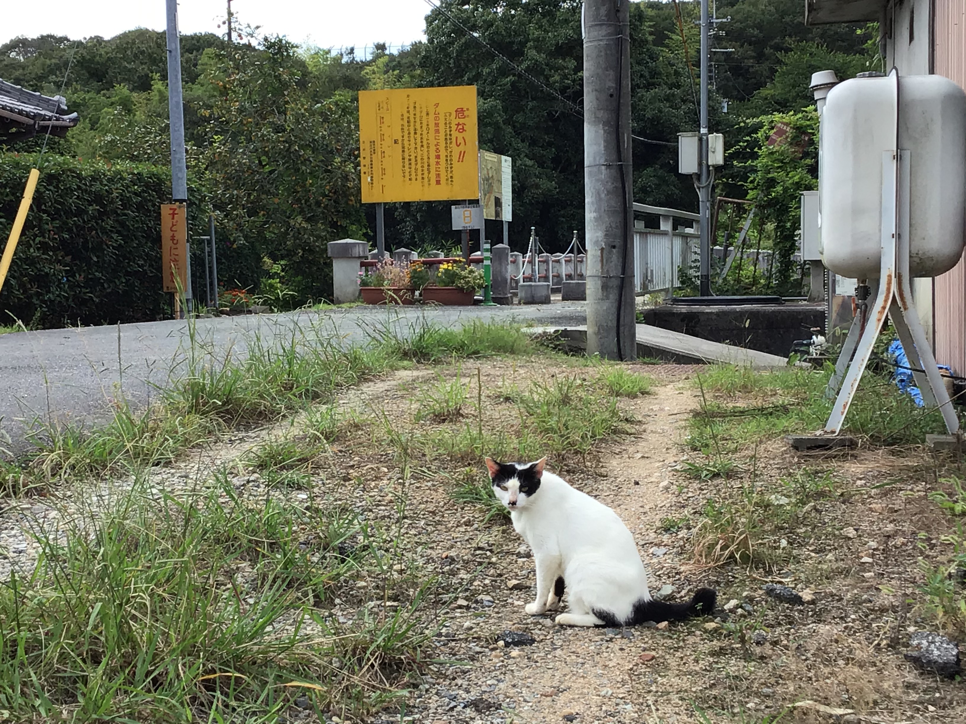 ✍水源地域の大切さを真剣にメモを取る稲美町の児童たち✍稲美町立加古小学校の疏水見学